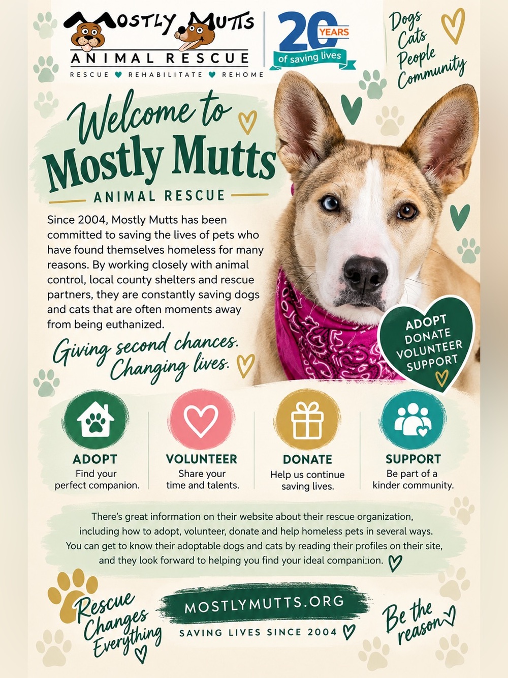 About Mostly Mutts 🐾♥️